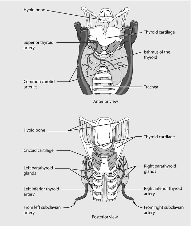 A340077_1_En_23_Fig6_HTML.jpg