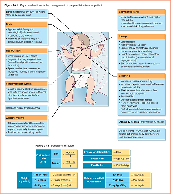 Diagram shows management considerations which are key for paediatric trauma patient with markings for large head, brain, body surface area, airway, cardiovascular system, et cetera.