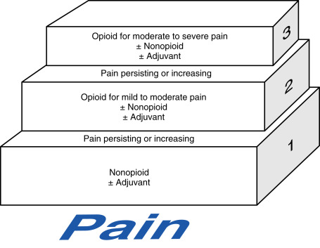 Analgesia And Sedation | Anesthesia Key