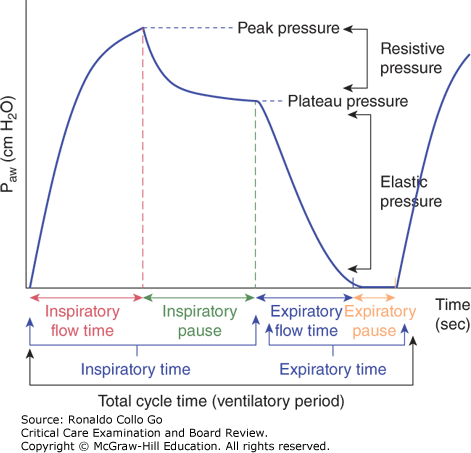 Mechanical Ventilation | Anesthesia Key