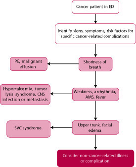 Oncologic Emergencies | Anesthesia Key