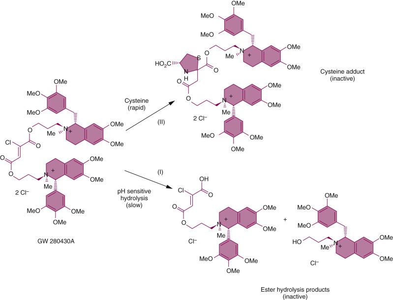 Neuromuscular Blockers And Reversal Drugs | Anesthesia Key