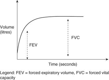 Chapter 6 – Respiratory Disease | Anesthesia Key