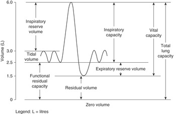 Chapter 6 – Respiratory Disease | Anesthesia Key