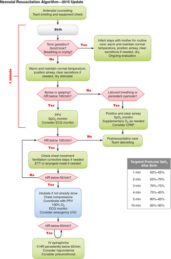 9 – Neonatal Resuscitation | Anesthesia Key