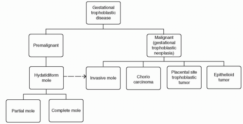 Gestational Trophoblastic Disease | Anesthesia Key