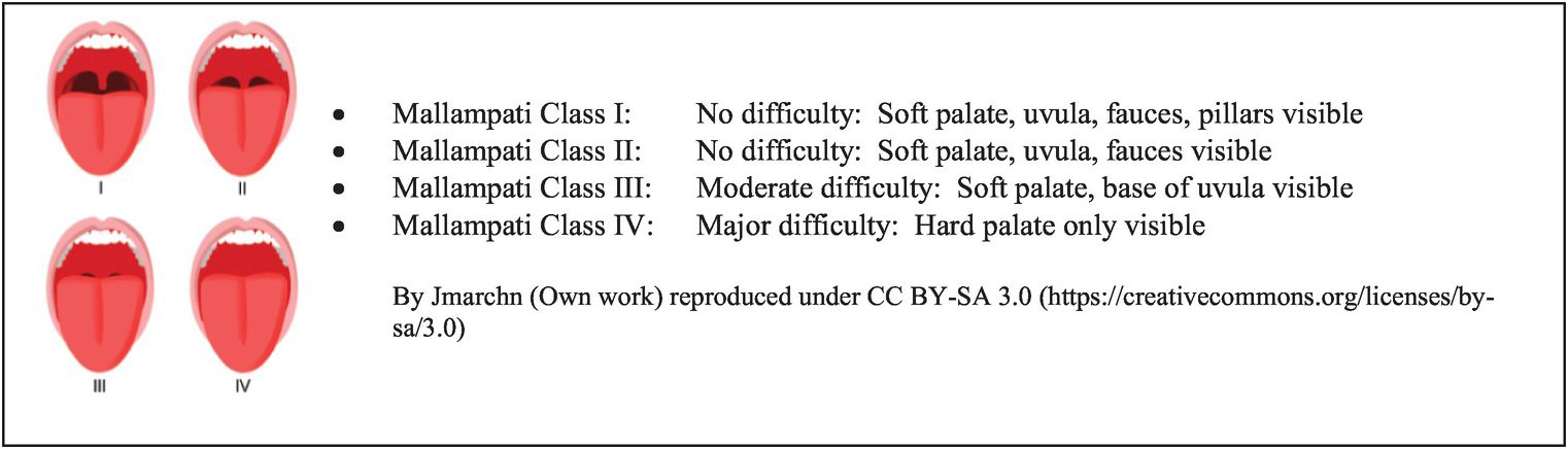 Chapter 2 – Trauma Airway | Anesthesia Key