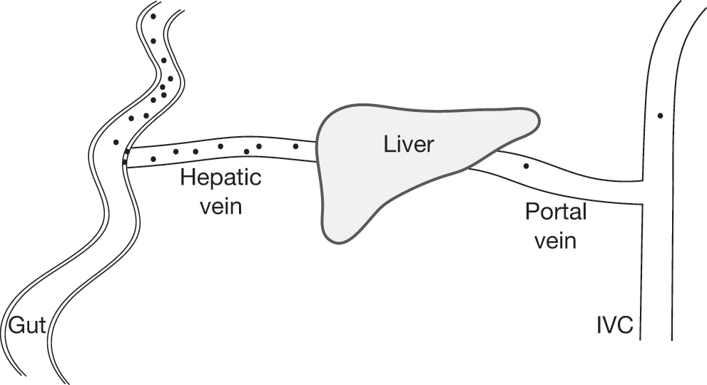 Chapter 2 – Absorption, Distribution, Metabolism and Excretion ...