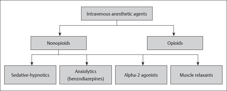 CHAPTER 9 Intravenous Anesthetic Agents (AS4.1) | Anesthesia Key