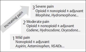 CHAPTER 36 Pain And Anesthesia | Anesthesia Key