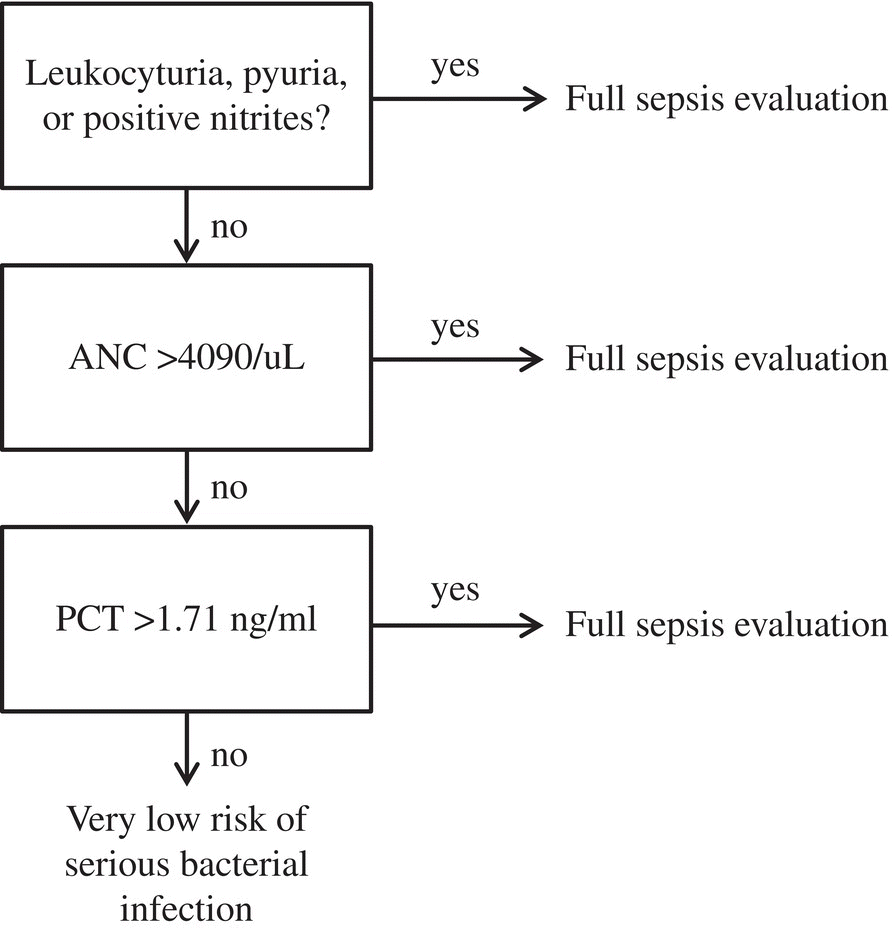 Schematic illustration of PECARN febrile infant protocol.