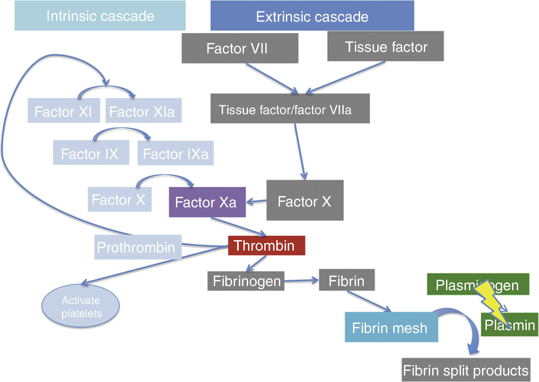 Anticoagulation And Bleeding Management | Anesthesia Key