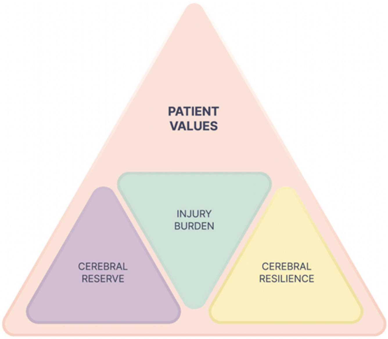 A triangular framework shows patient values at the top, with cerebral reserve, cerebral resilience, and injury burden at the base.