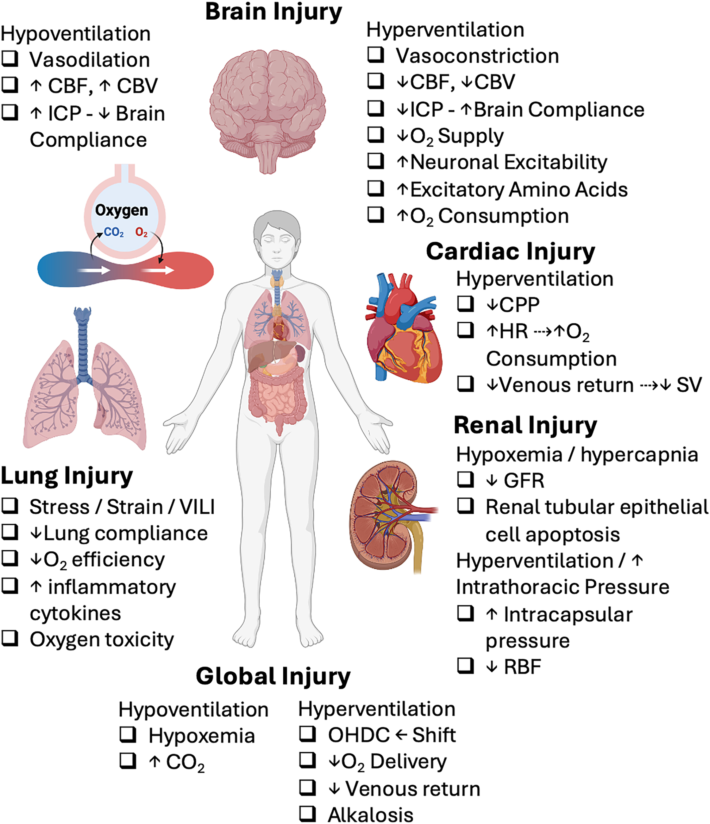 A labeled diagram titled Effects of Abnormal Ventilation with illustrations of human organs and bullet point effects for brain, cardiac, lung, renal, and global injuries.