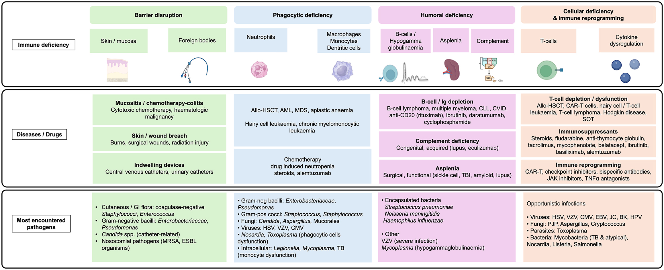 Alt text begins. A three-row infographic summarizes immune deficiency categories, associated diseases or drugs, and commonly encountered pathogens across barrier, phagocytic, humoral, and cellular immune dysfunction. Alt text provided by Elsevier.
