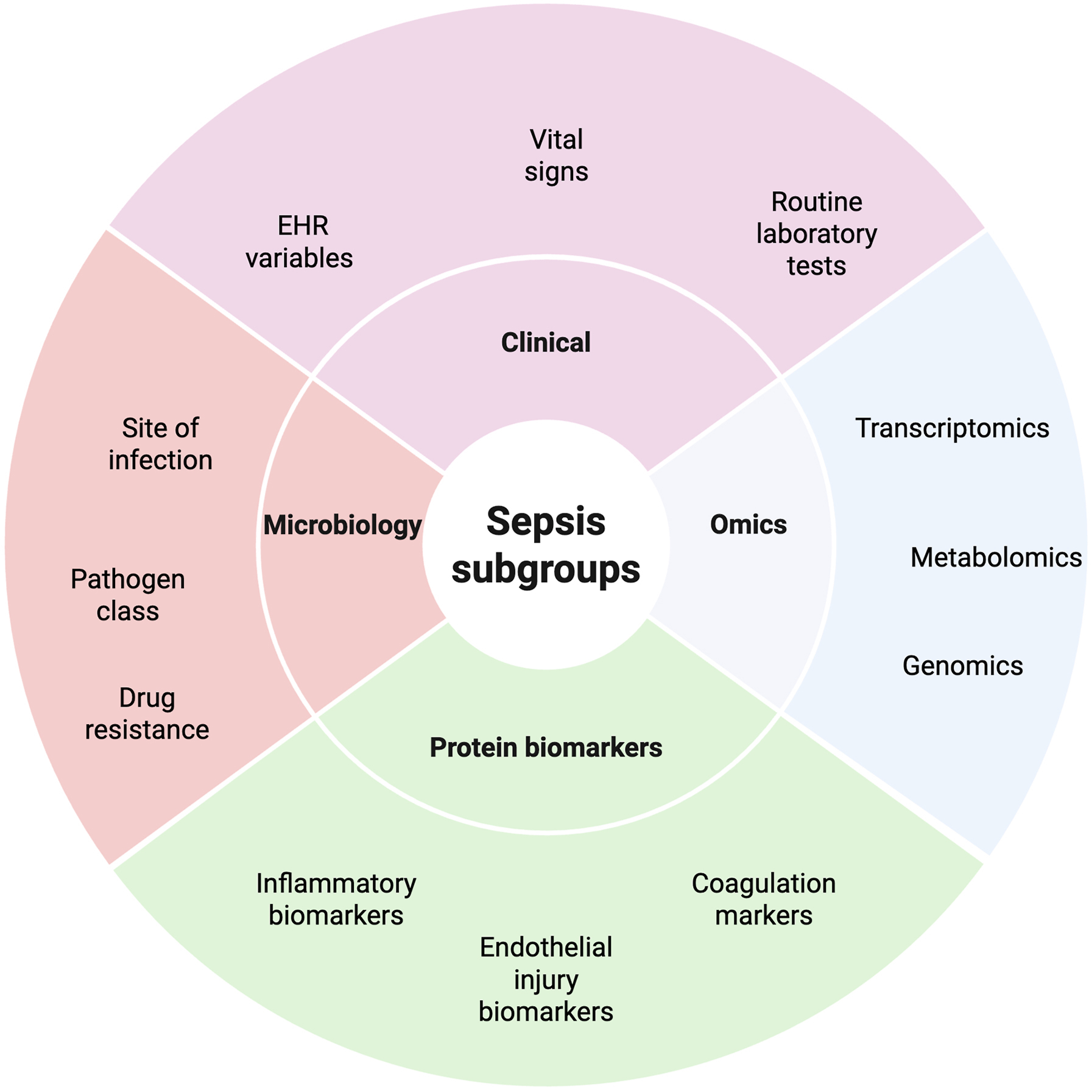 Alt text begins. A circular infographic illustrates sepsis subgroup frameworks based on clinical data, microbiology, protein biomarkers, and omics approaches with associated input categories. Alt text provided by Elsevier.