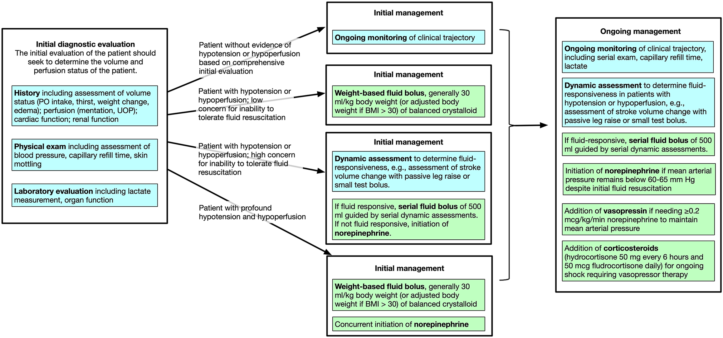 Alt text begins. A flowchart shows the approach to hemodynamic resuscitation in sepsis, outlining initial diagnostic evaluation, initial management paths based on patient status, and ongoing management steps. Alt text provided by Elsevier.