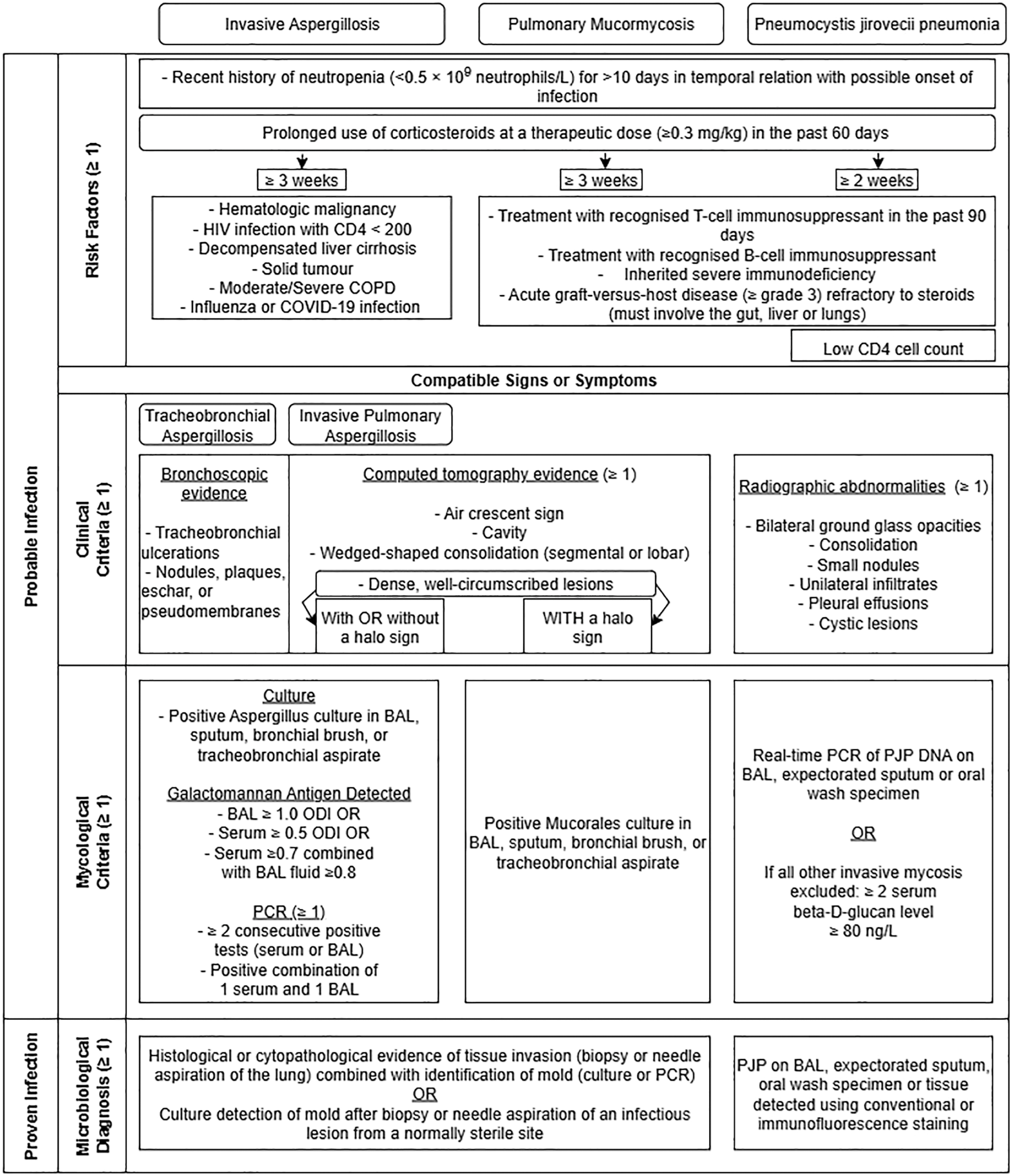A flowchart outlines diagnostic criteria for invasive aspergillosis, pulmonary mucormycosis, and pneumocystis jirovecii pneumonia.
