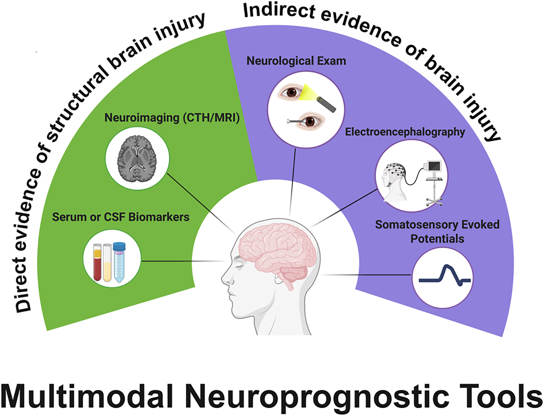 A semicircle diagram of multimodal neuroprognostic tools shows direct and indirect evidence of brain injury through various methods.