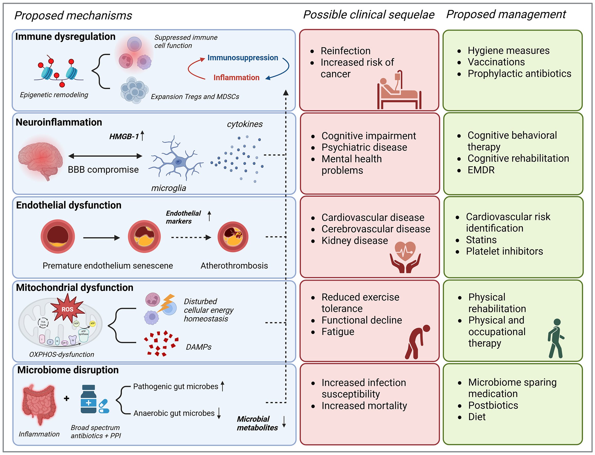 Alt text begins. A three column infographic outlines proposed post sepsis syndrome mechanisms, related clinical sequelae, and corresponding management strategies. Alt text provided by Elsevier.
