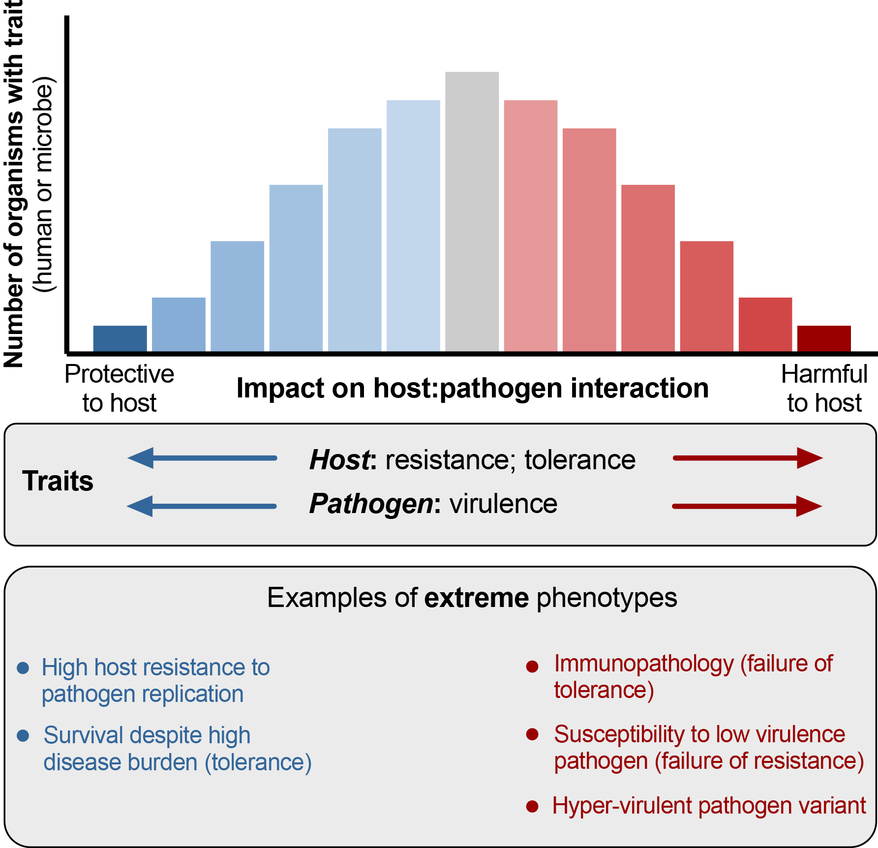 Alt text begins. A histogram schematic shows extreme infection phenotypes across host pathogen interactions, ranging from protective to harmful effects on the host. Alt text provided by Elsevier.