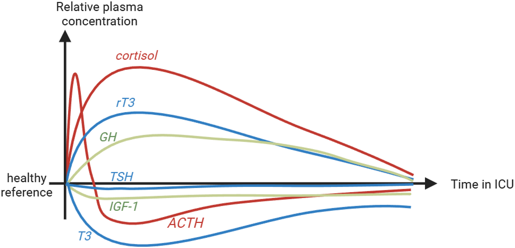 Alt text begins. A schematic graph illustrates changes in adrenal, thyroid, and growth hormone axis hormone levels during acute and prolonged sepsis in intensive care. Alt text provided by Elsevier.