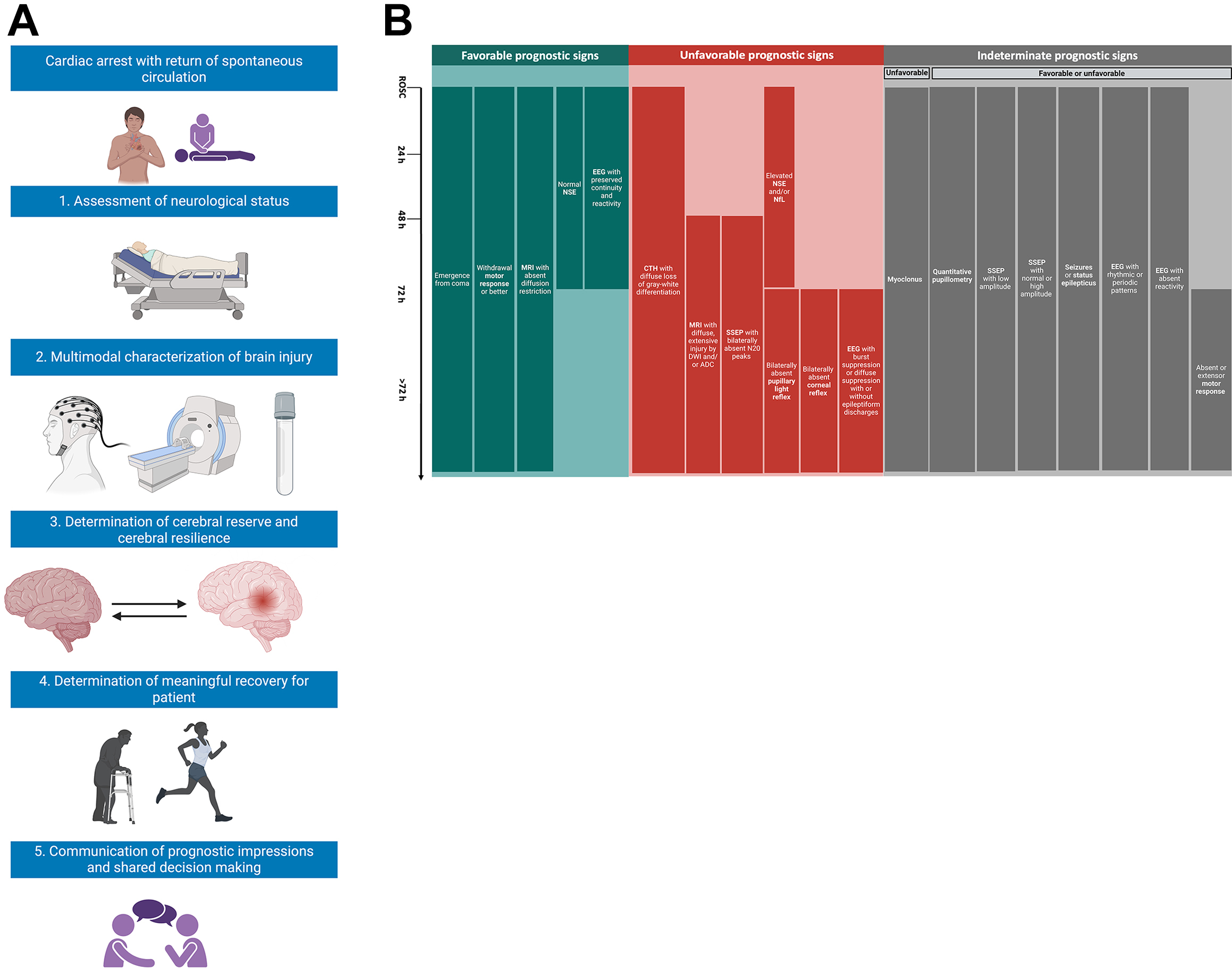 A clinical workflow and chart show the steps for neurological assessment after cardiac arrest with prognostic signs categorized as favorable, unfavorable, or indeterminate.