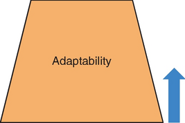 Illustration of a trapezoid labeled Adaptability with an upward arrow beside.