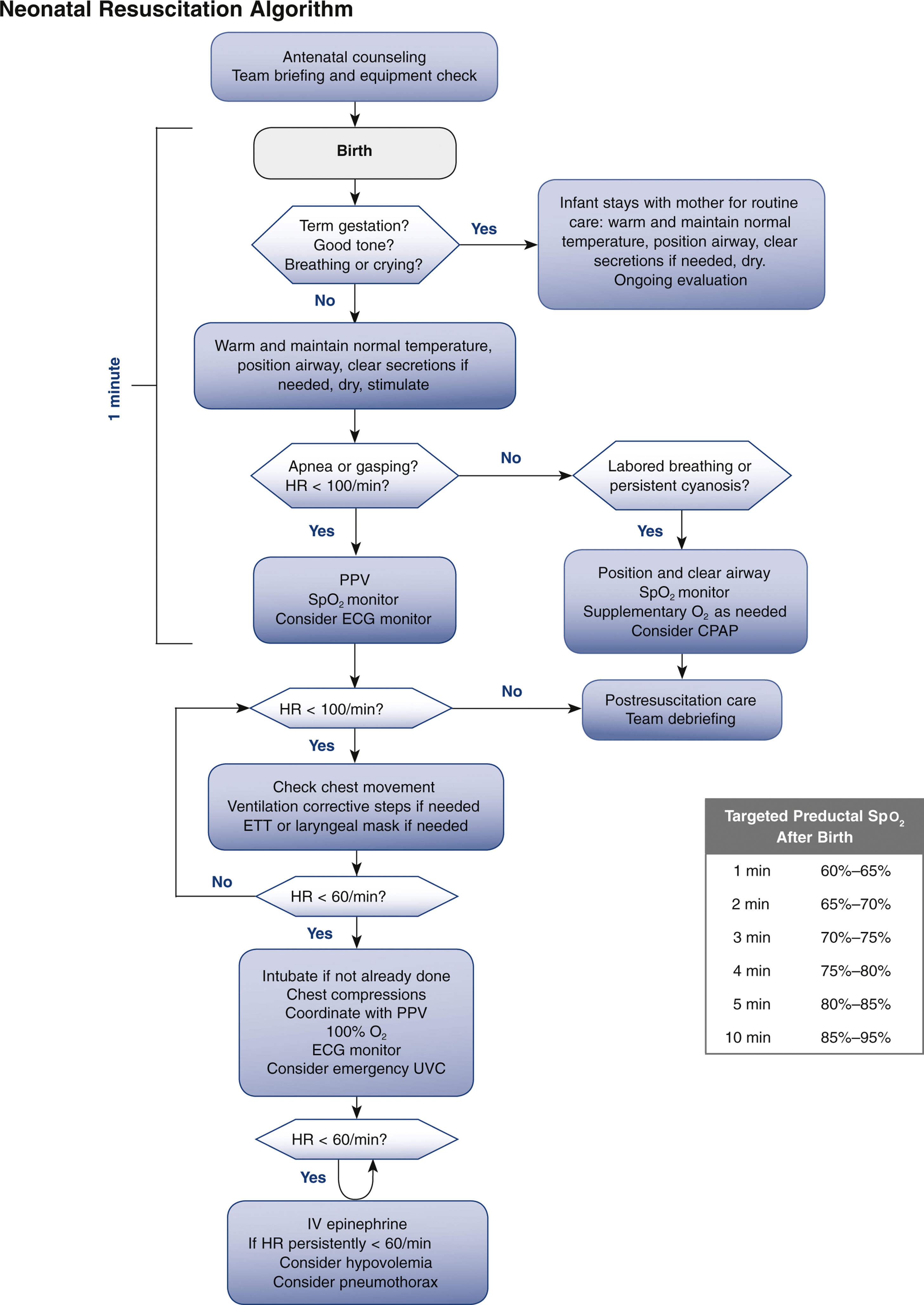 A neonatal resuscitation algorithm shows sequential steps based on heart rate, breathing, and tone after birth.