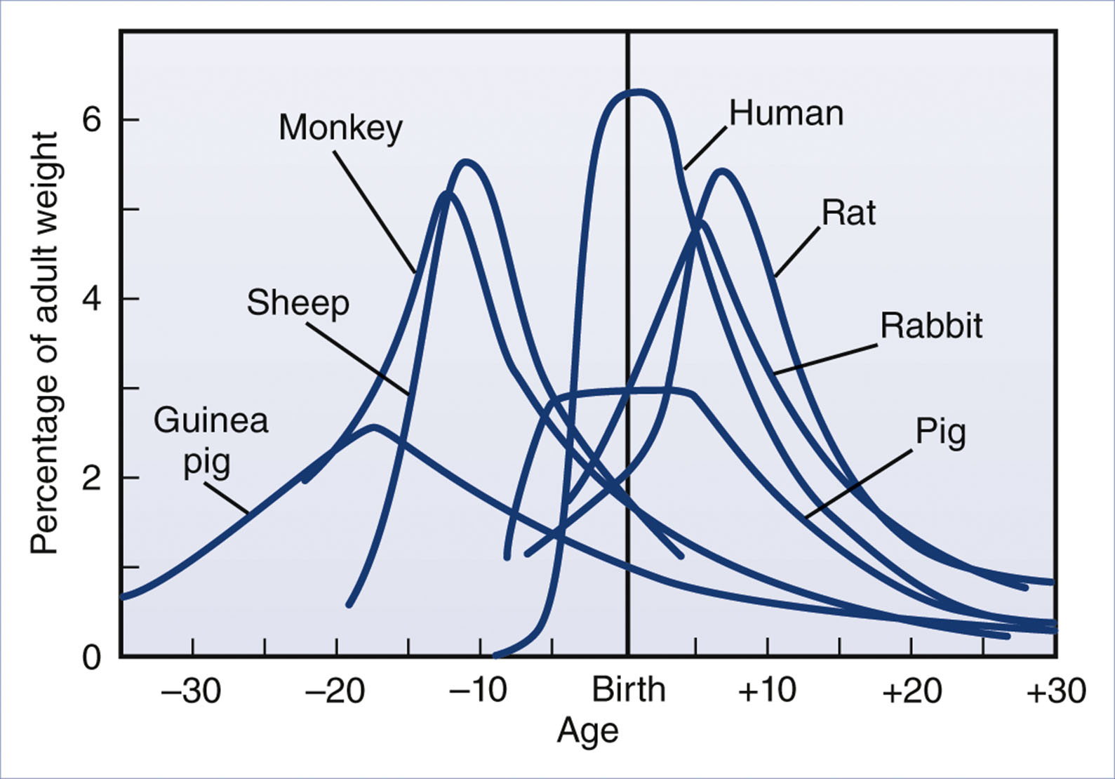 A line graph shows brain growth velocity curves for seven mammals relative to birth age.