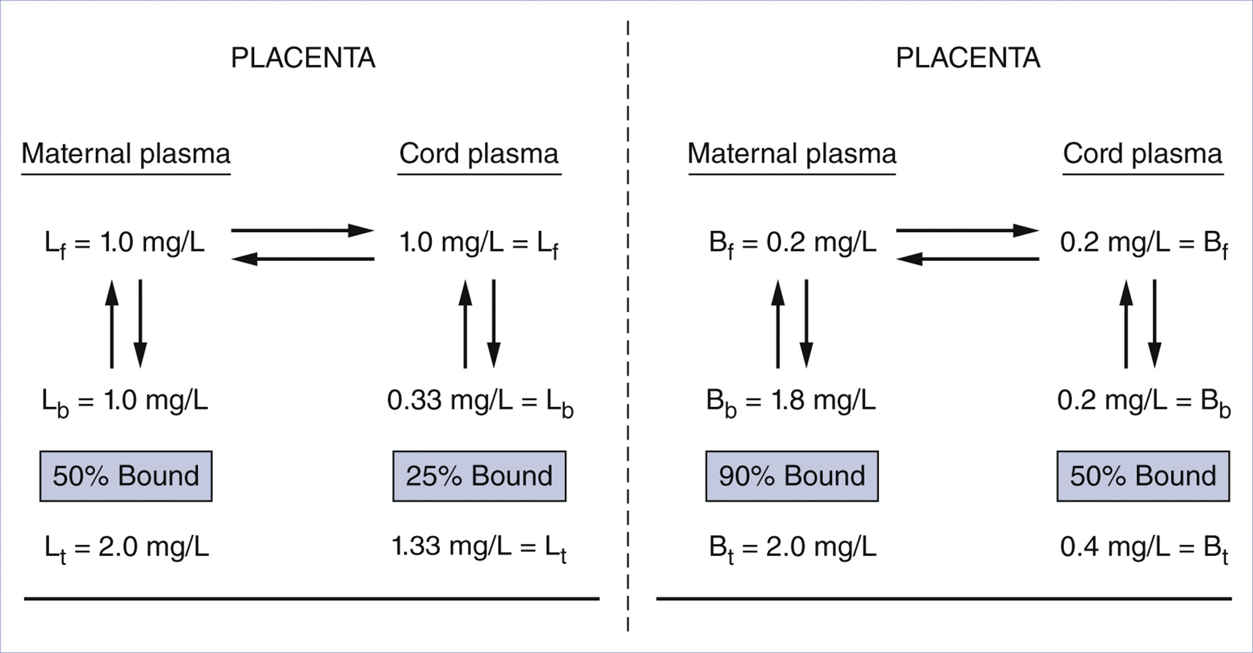 A schematic diagram presents lidocaine and bupivacaine transfer across the placenta, with total, bound, and free concentrations and binding percentages in maternal and cord plasma.
