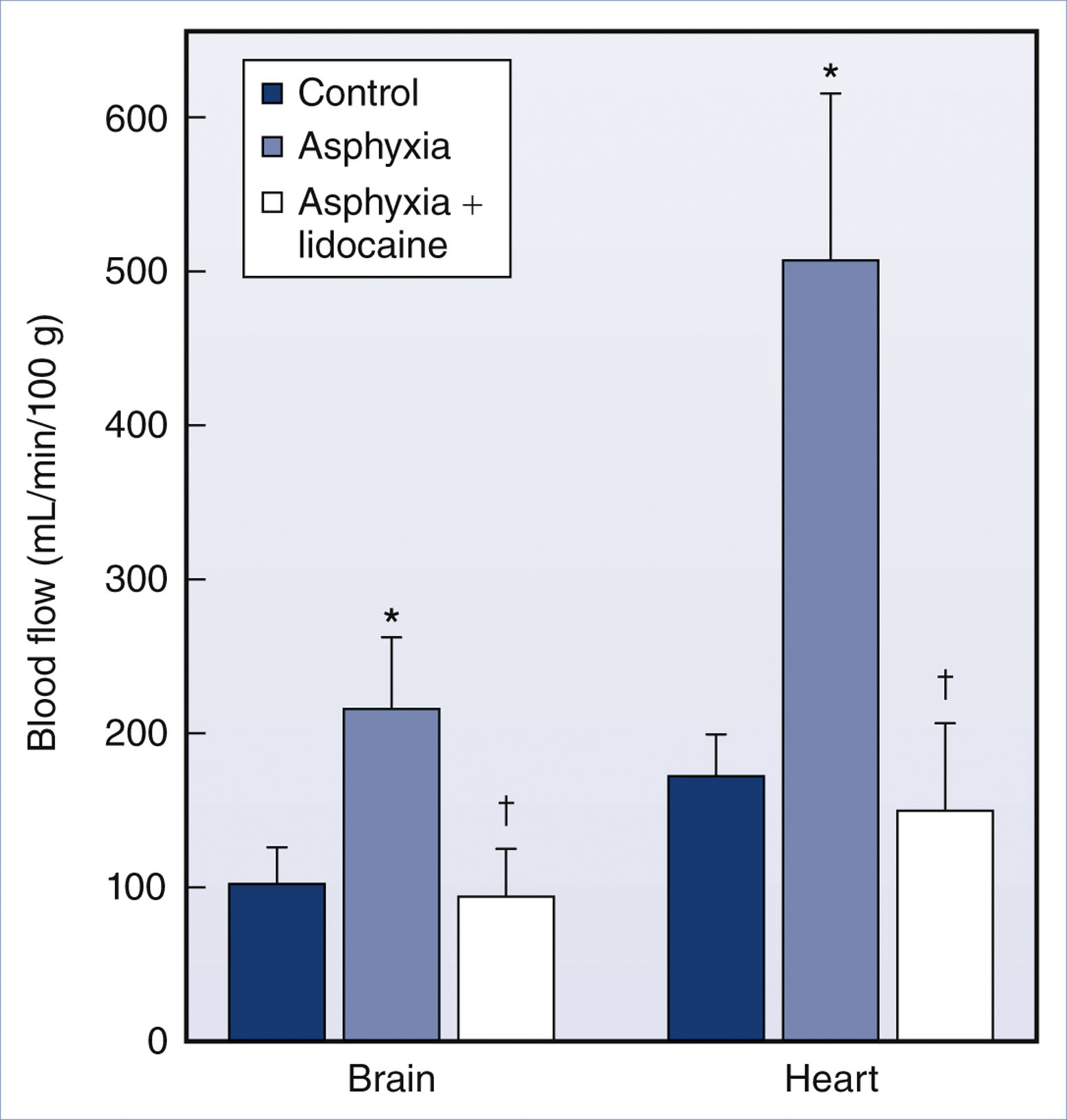 A bar graph presents brain and heart blood flow under control, asphyxia, and asphyxia with lidocaine conditions, with significant differences marked for both organs.