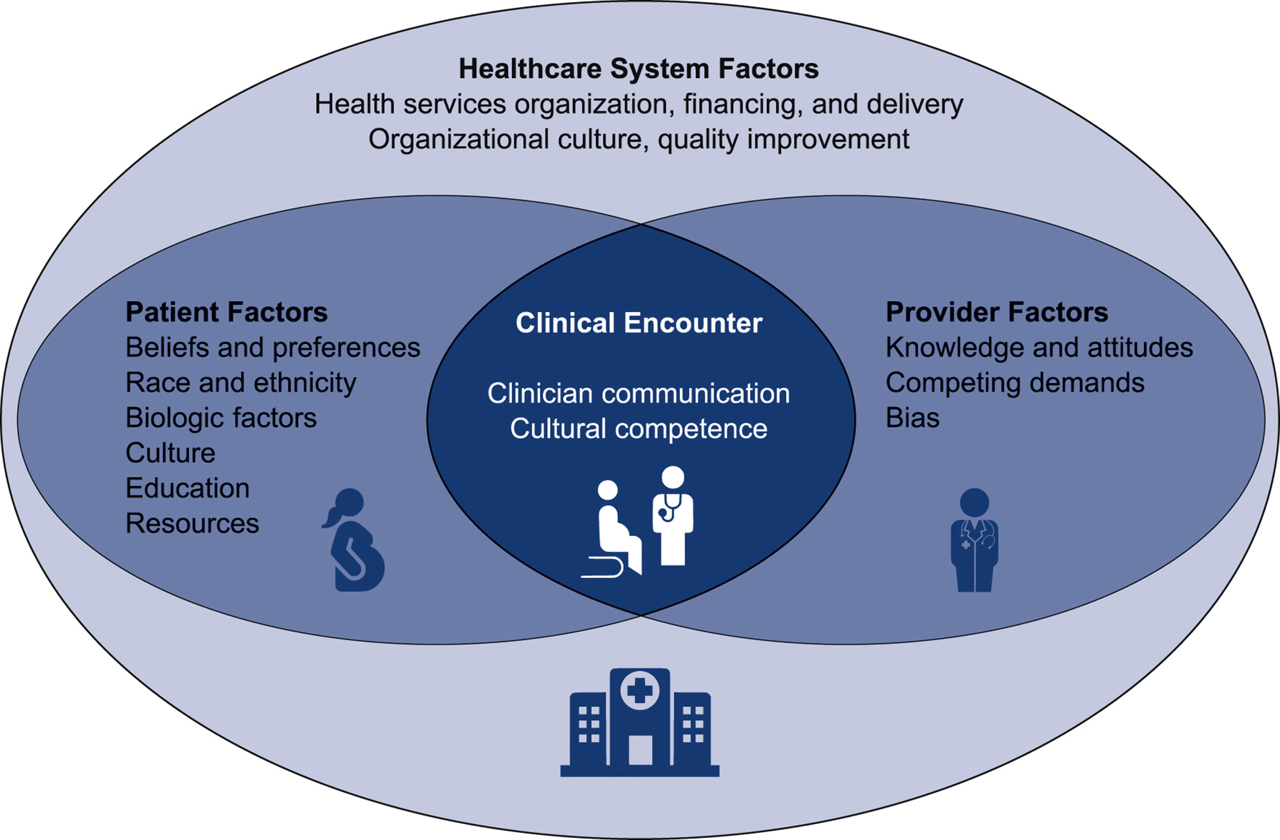 An overlapping oval diagram shows factors contributing to healthcare disparities, including patient, provider, and system influences, with clinical encounter at the center.