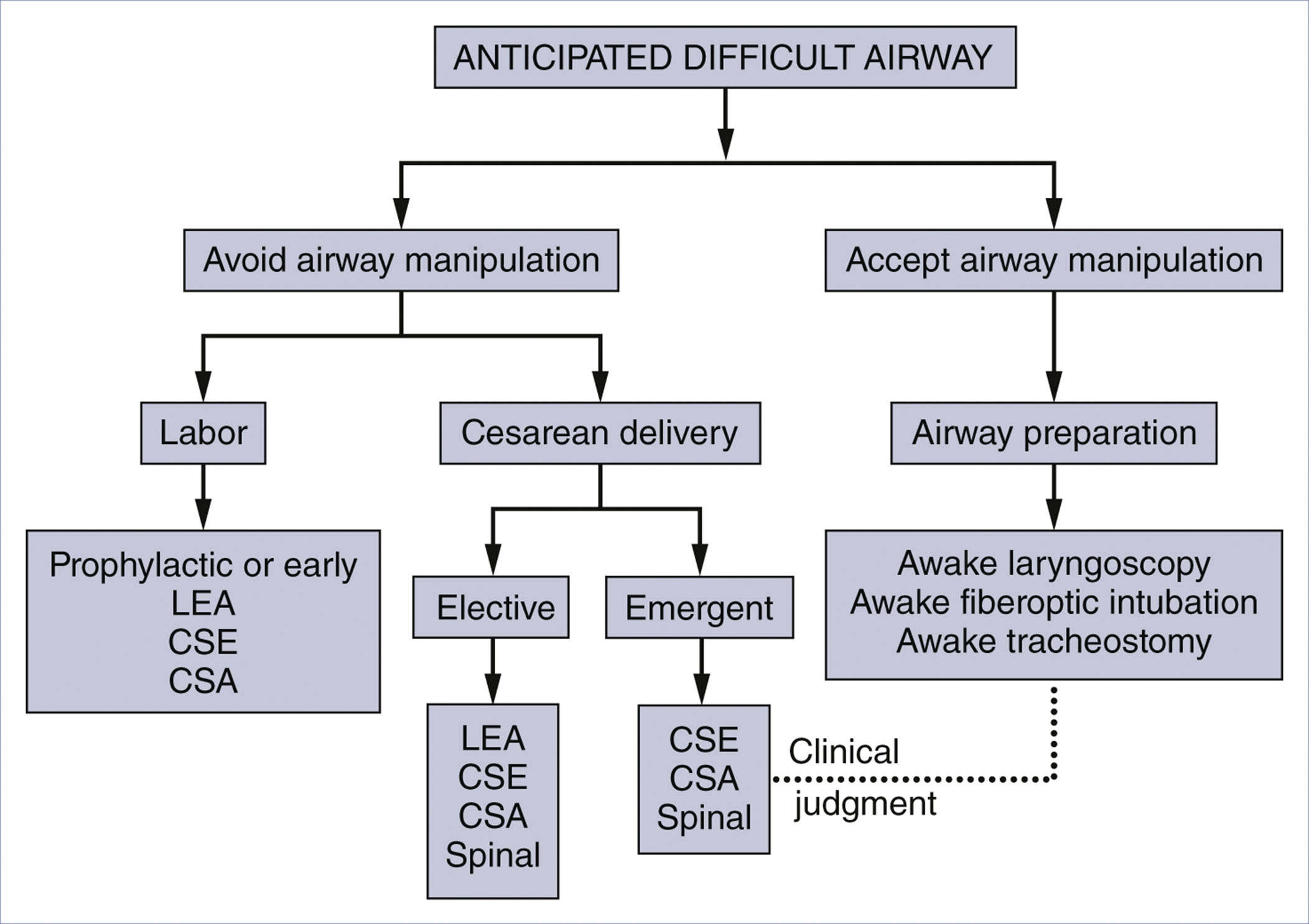 The Difficult Airway: Risk, Assessment, Prophylaxis, and Management ...