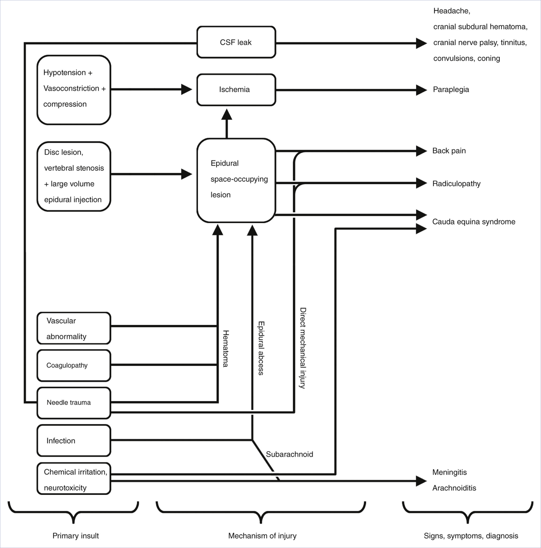A flowchart displays mechanisms leading to central nervous system lesions in parturients.
