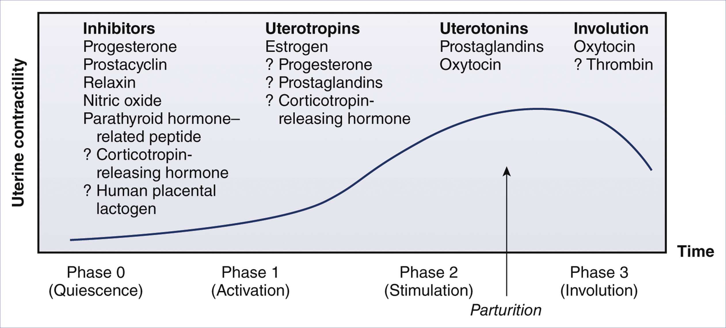A diagram shows four phases of uterine contractility across time with associated regulatory factors for each phase.