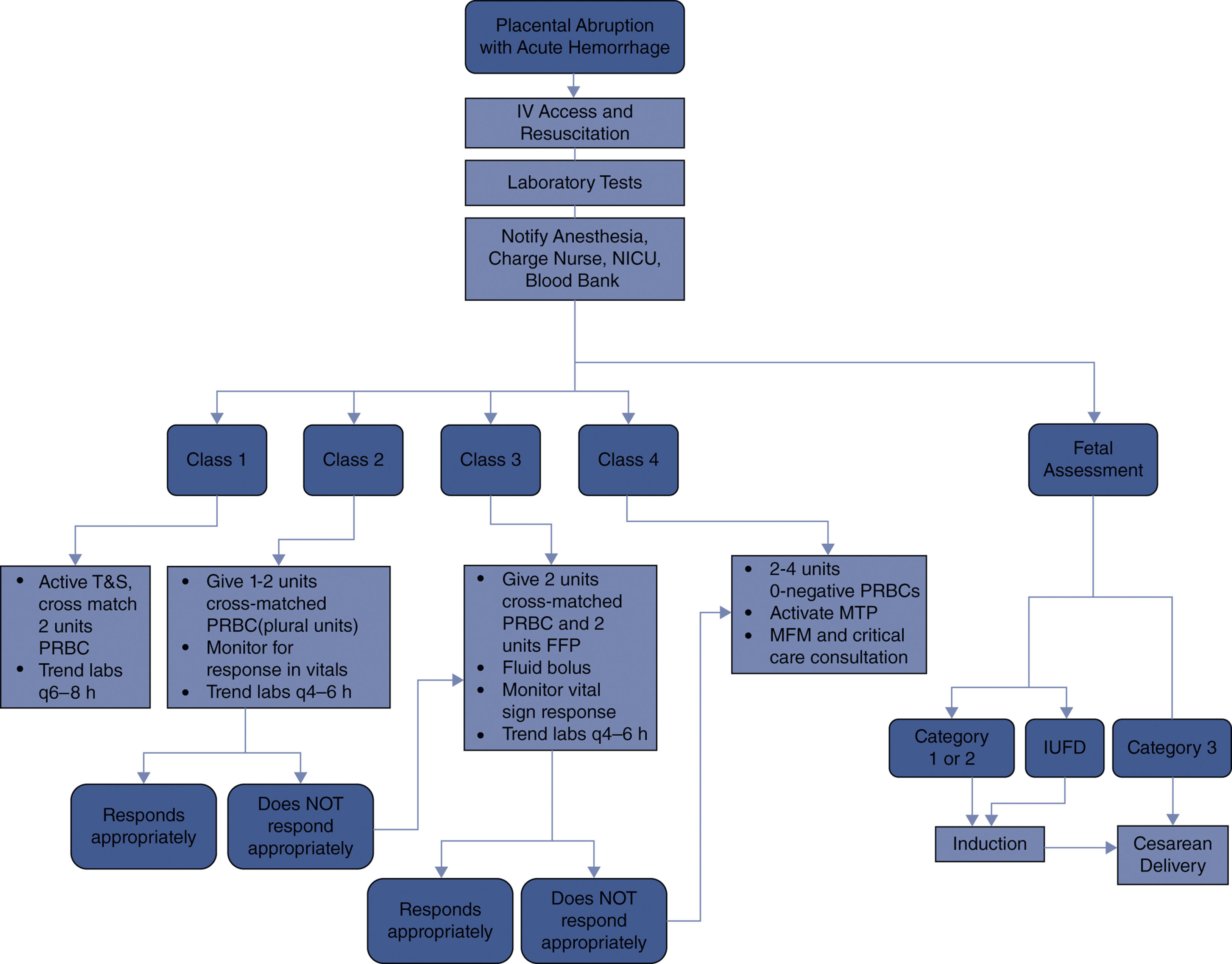 A clinical flowchart shows management steps for placental abruption with acute hemorrhage based on shock class and fetal assessment.