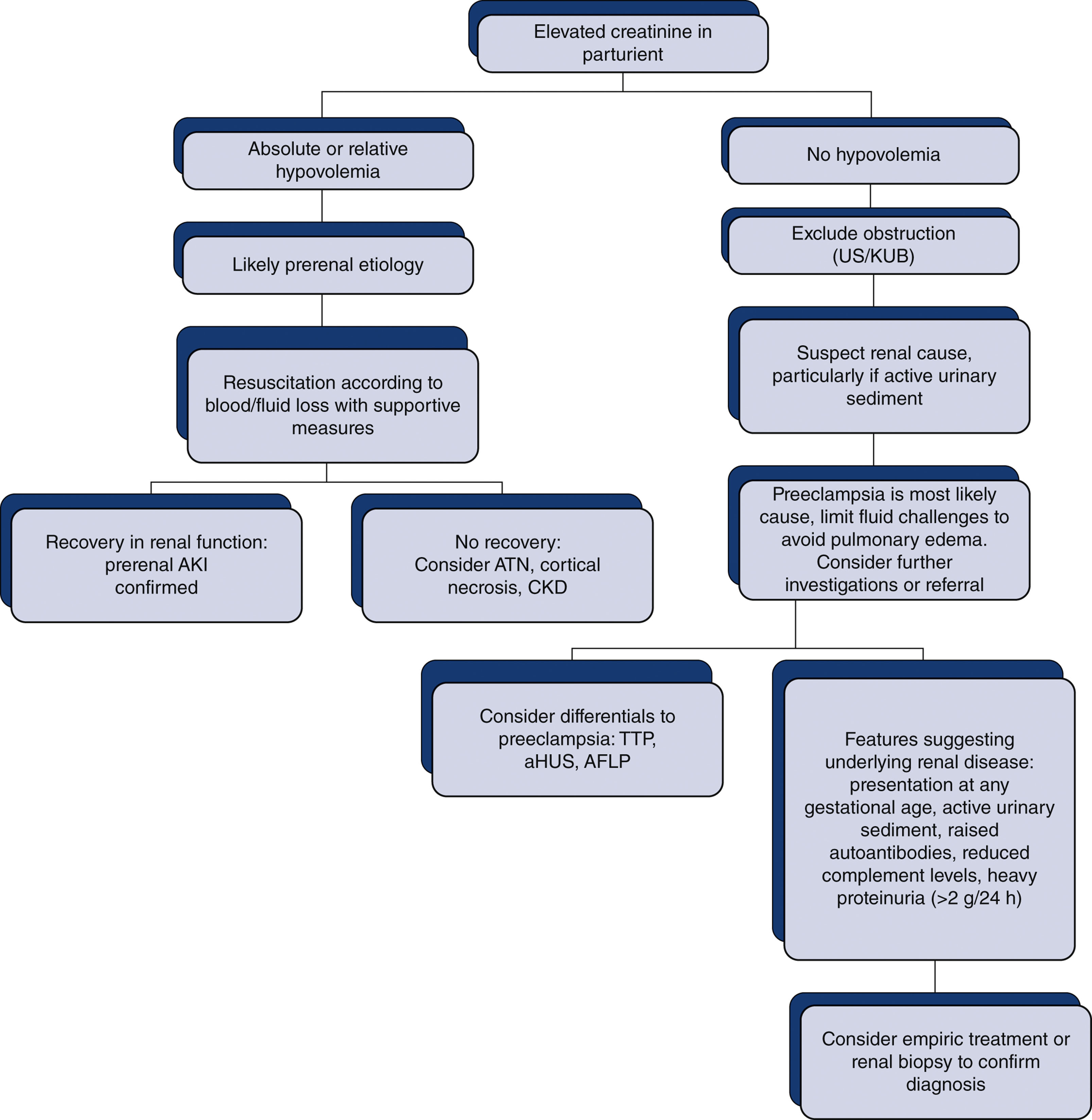 A flowchart presents the diagnostic approach to elevated creatinine in pregnancy, branching by hypovolemia status and recovery of renal function.